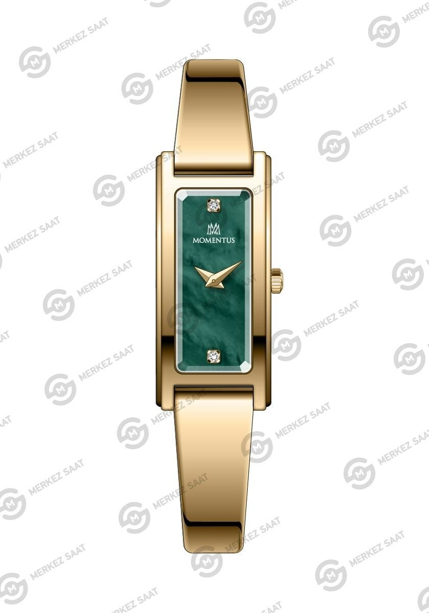 Momentus Women's Classystar CS371G-15SG