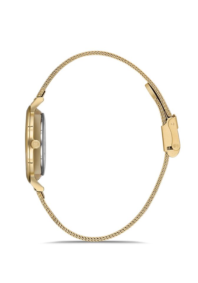 Momentus Women's Classy CW251G-15SG