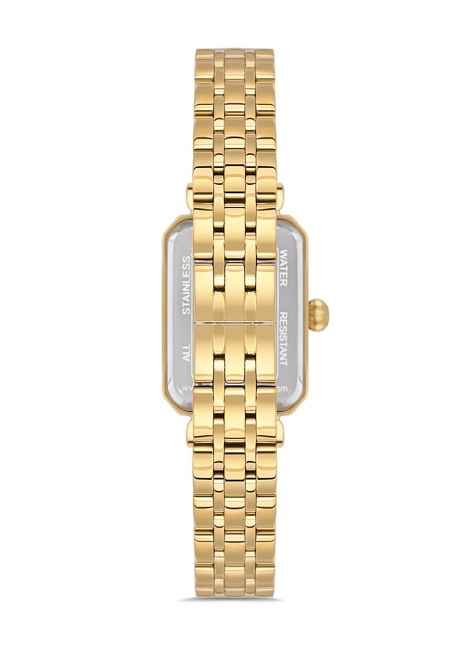 Momentus Women's Shiny SS223G-15SG