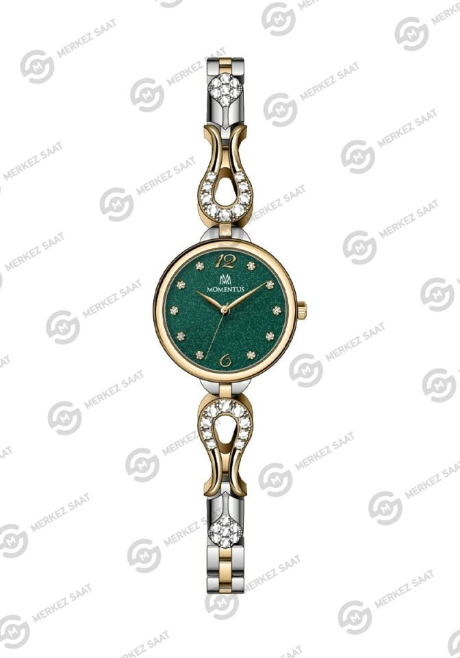 Momentus Women's Shiny Star SS413G-15TG