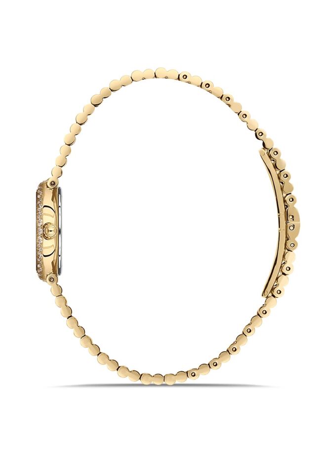 Momentus Women's Shiny SS401G-09SG