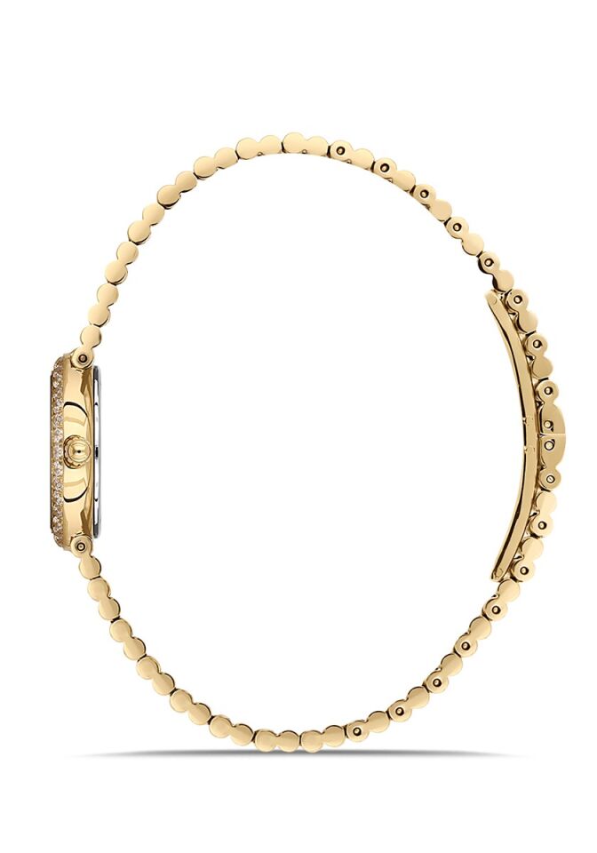 Momentus Women's Shiny SS401G-15SG