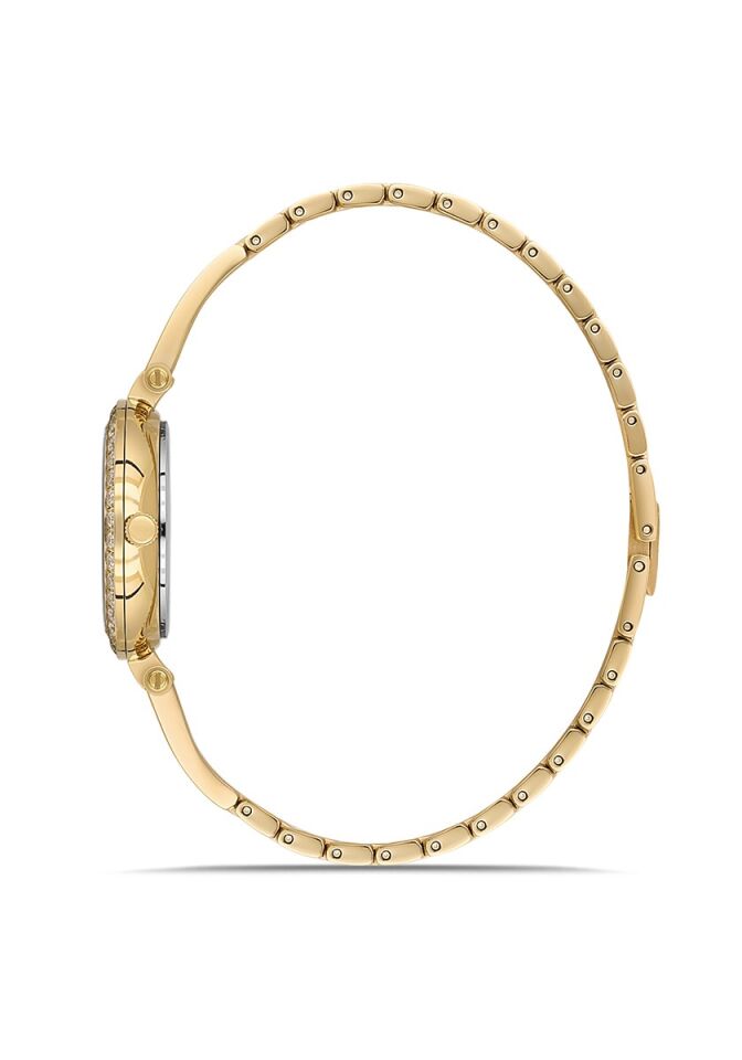 Momentus Women's Shiny SS409G-02SG