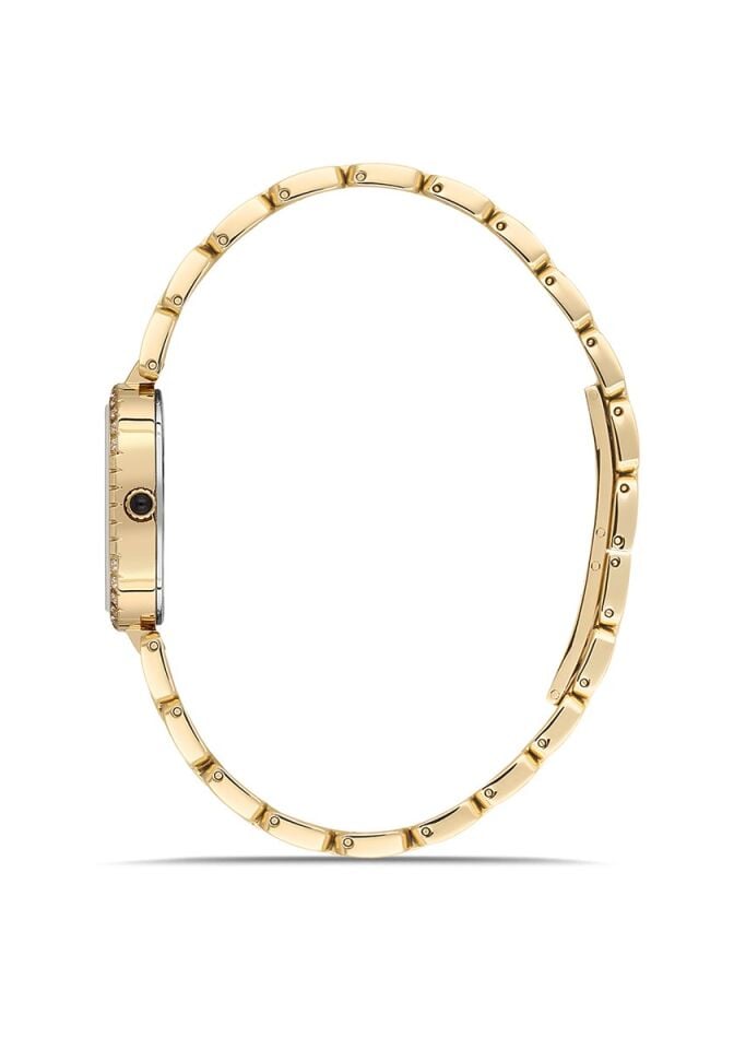 Momentus Women's Shiny SS404G-15SG