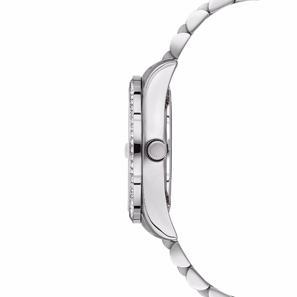 U.s. Polo Assn. Bayan Kol Saati USPA2054-02