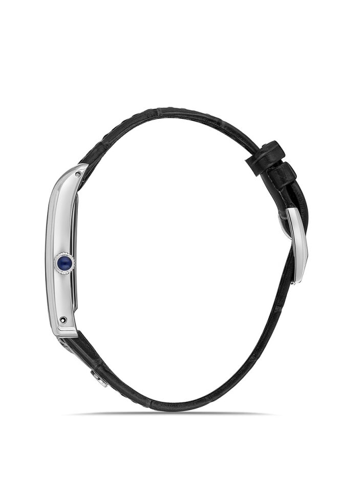 Momentus Men's Classic Master CM365S-02BS