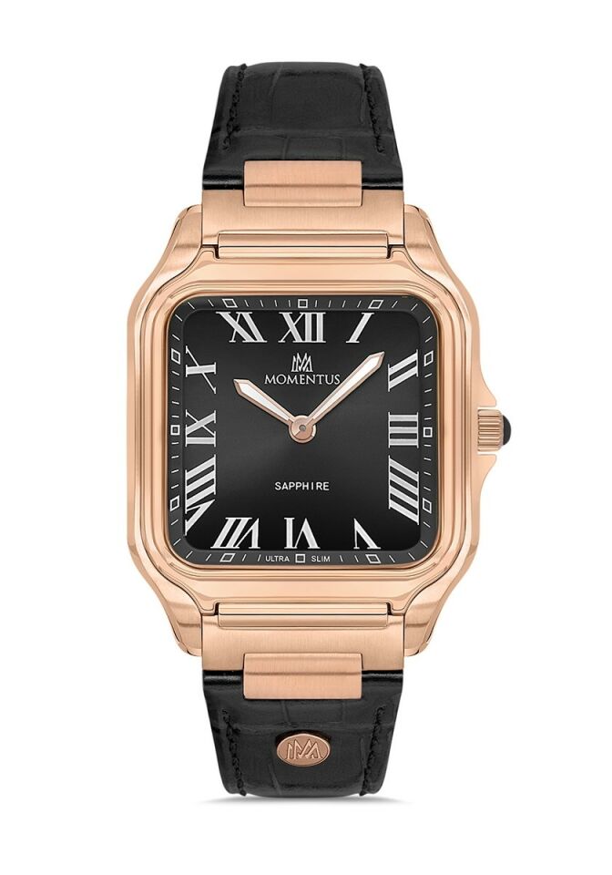 Momentus Men's Crown Master EM348R-04BR