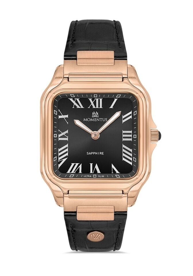 Momentus Men's Crown Master EM348R-04BR