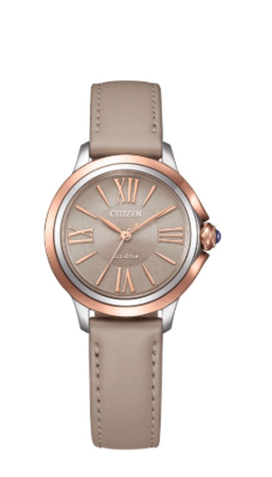 Cıtızen Em1166-01Z