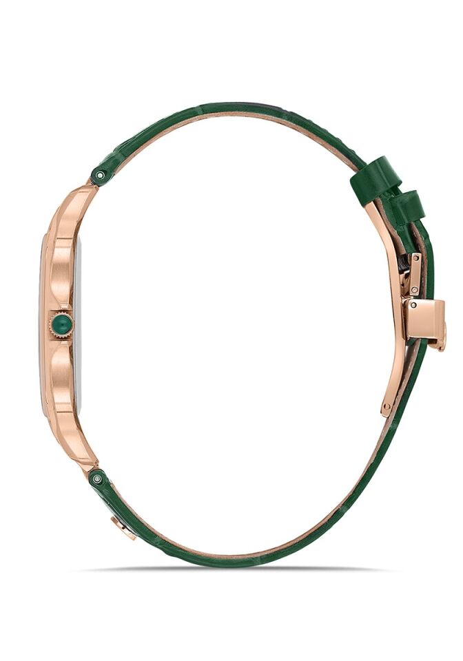 Momentus Men's Crown Master EM348R-15YR