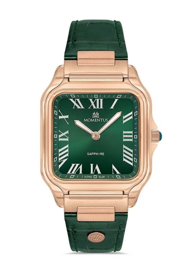Momentus Men's Crown Master EM348R-15YR