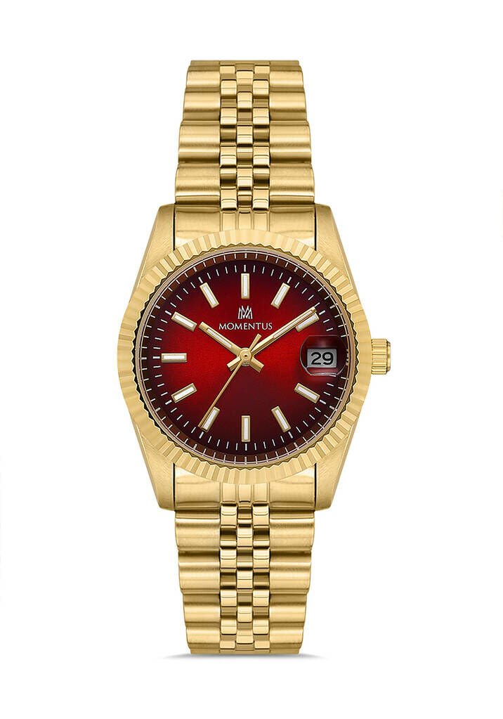 Momentus Cw132G-16Sg