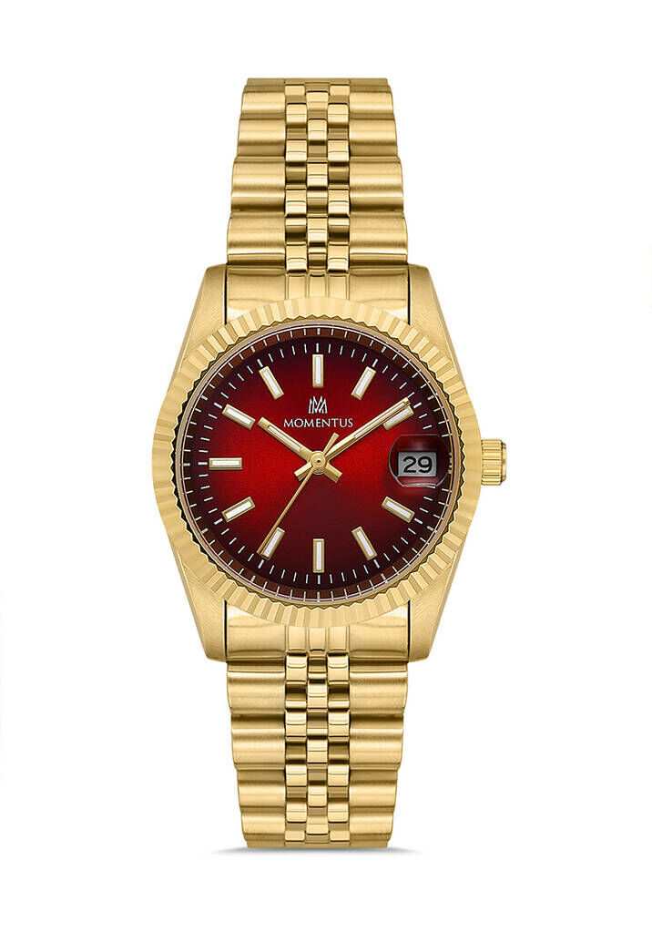 Momentus Cw132G-16Sg