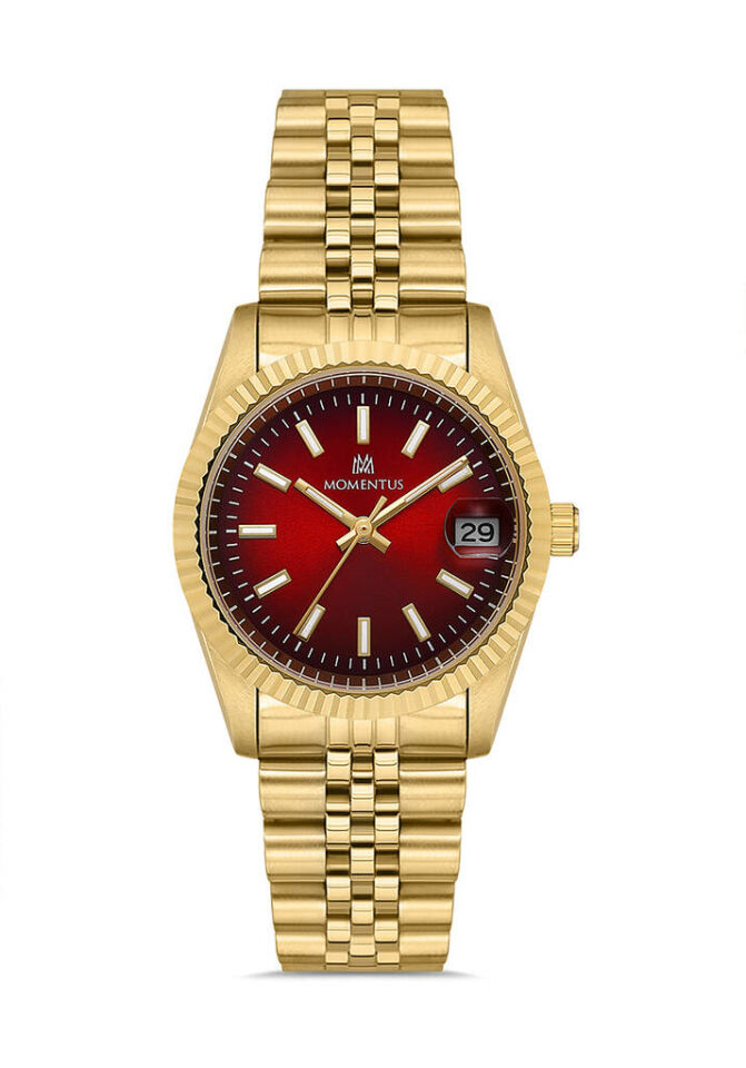 Momentus Cw132G-16Sg