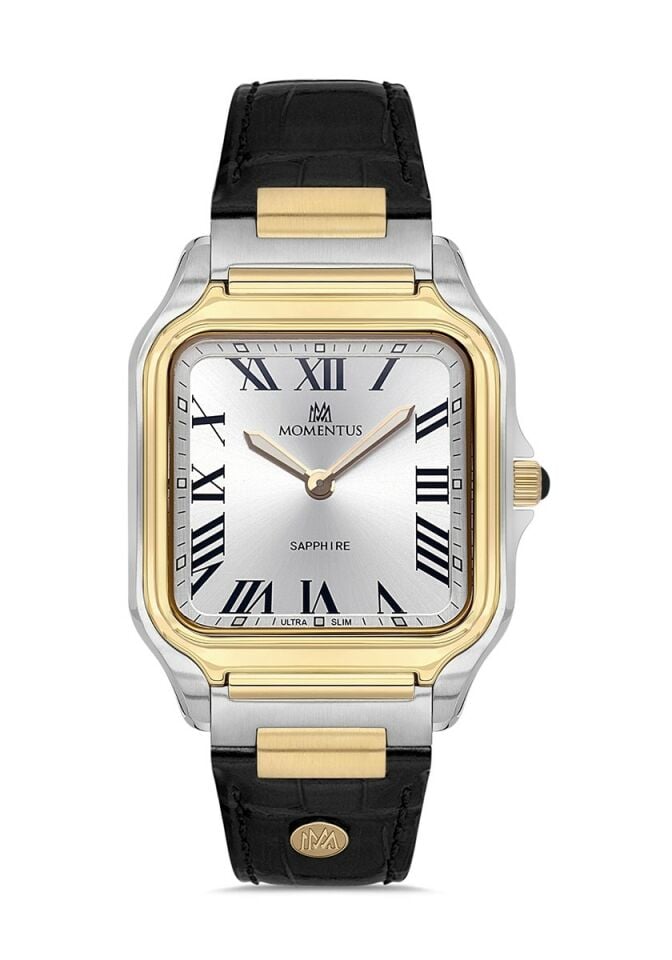 Momentus Men's Crown Master EM348T-02KG