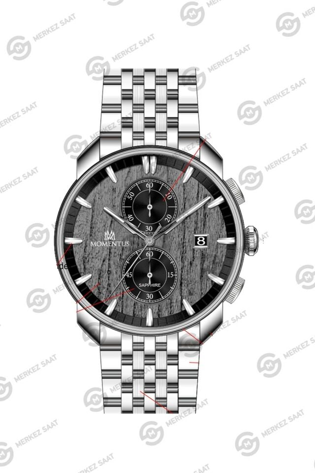 Momentus Men's Time Masters TM391S-04SS