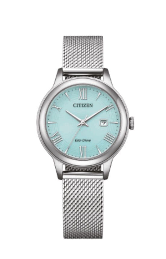 Cıtızen Ew2621-75M