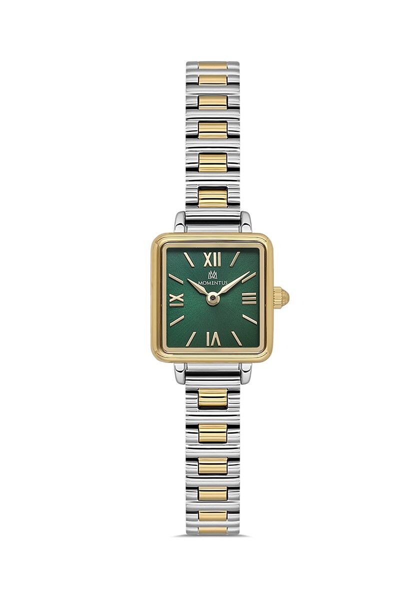 Momentus CW312T-15SG