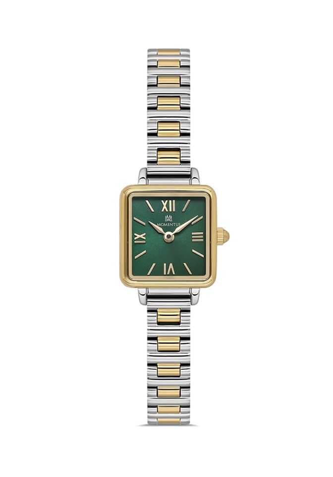 Momentus CW312T-15SG