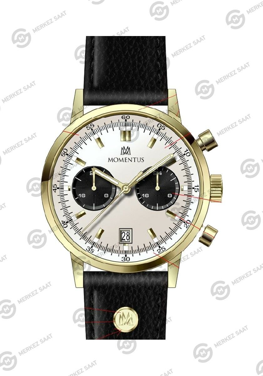 Momentus Men's Casual CC353G-02BG