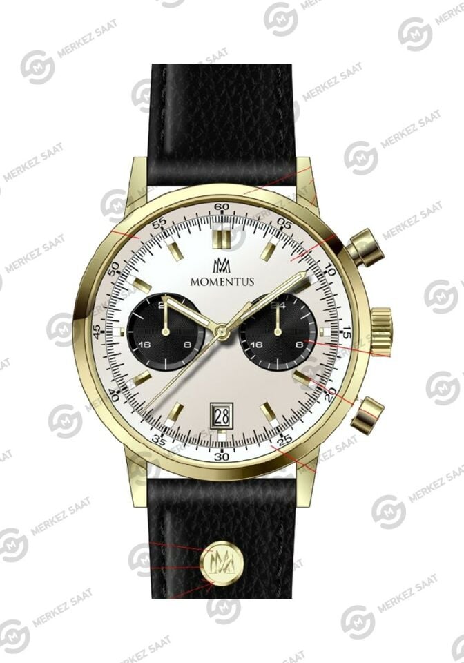 Momentus Men's Casual CC353G-02BG