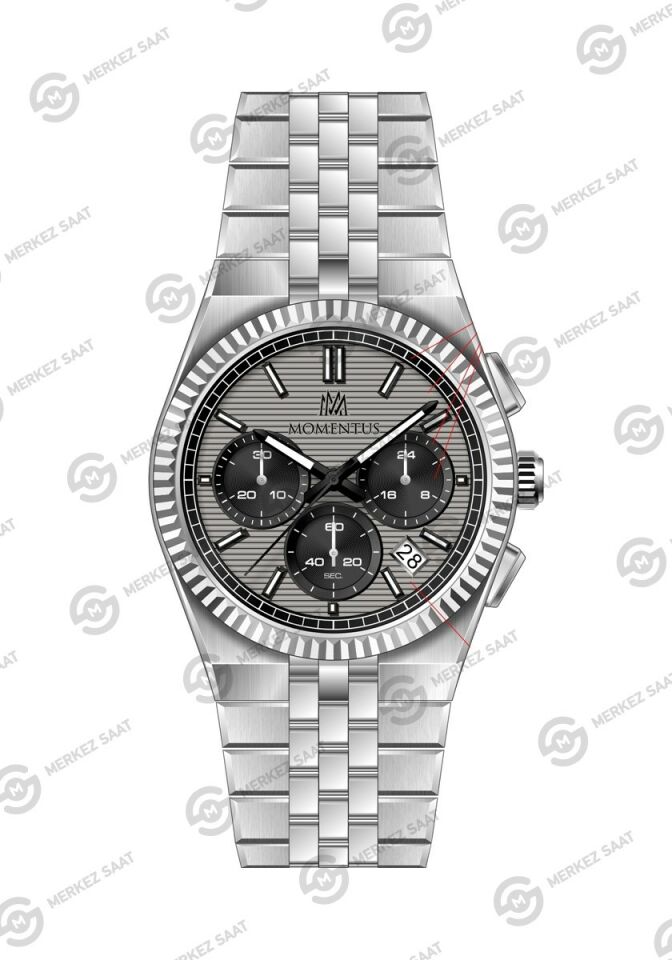 Momentus Men's Time Masters TM265S-03SS