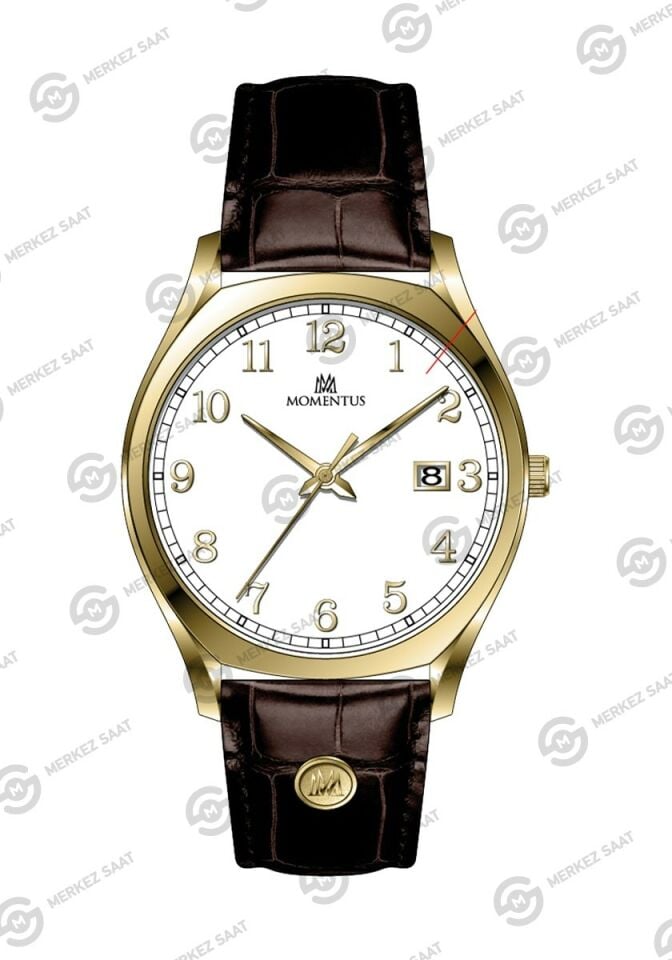 Momentus Men's Classic Master CM412G-01KG
