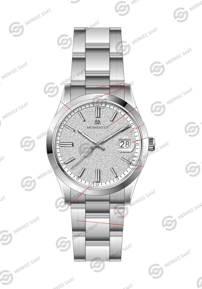 Momentus Men's Crown Master CR392S-02SS