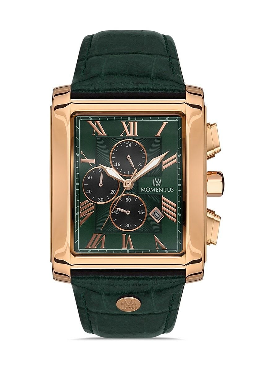 Momentus Men's Time Master TM111R-15YR