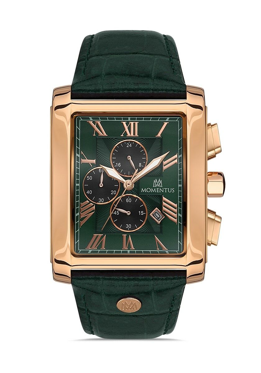 Momentus Men's Time Master TM111R-15YR