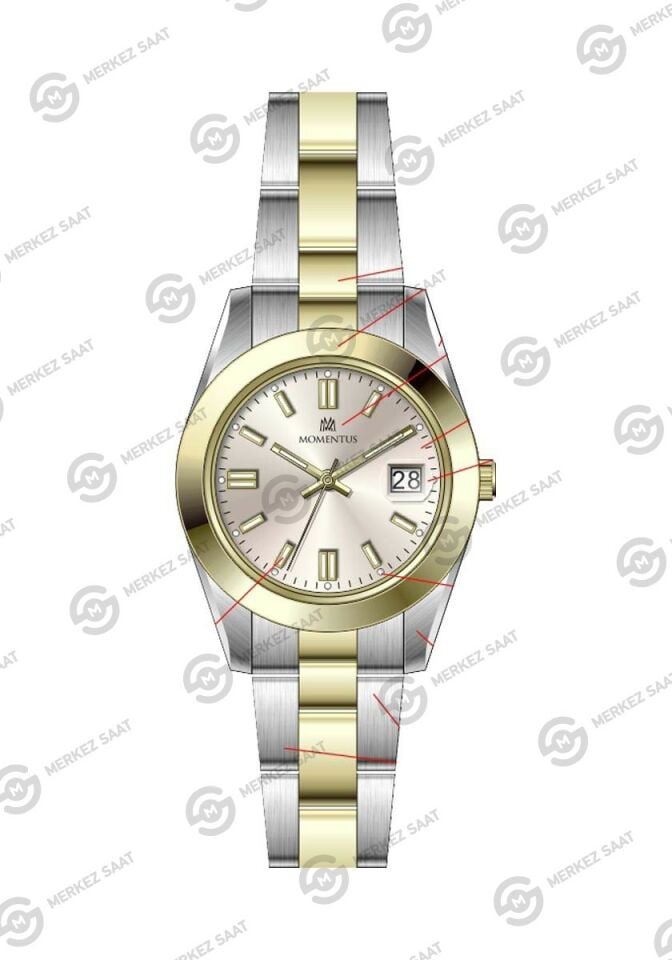 Momentus Women's Classy CW392T-08SG