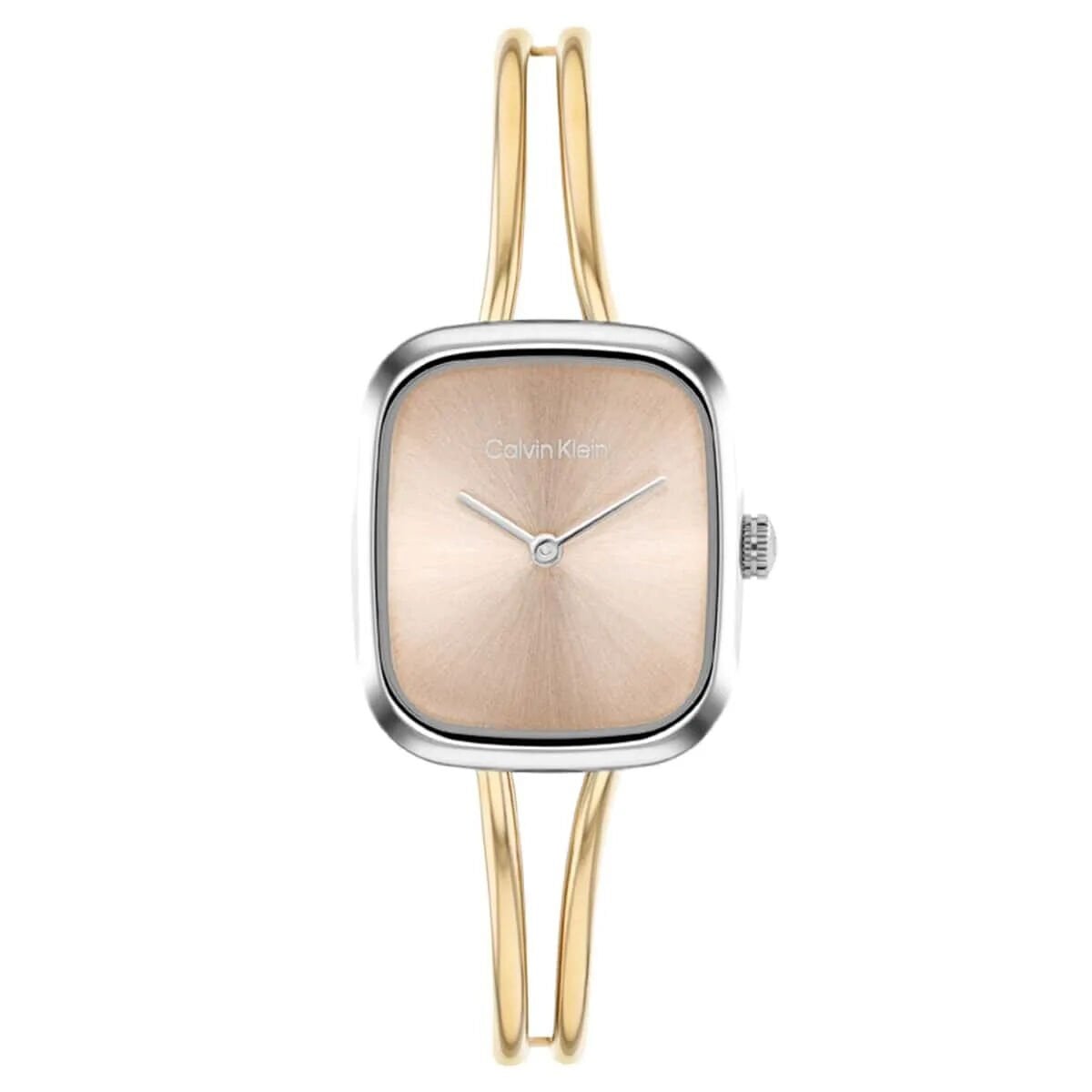 Calvin Klein Ck25100134 Kadın Kol Saati
