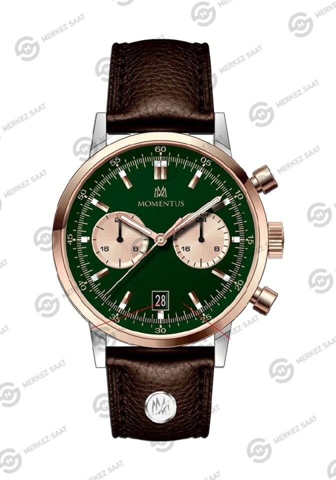 Momentus Men's Casual CC353T-15KR
