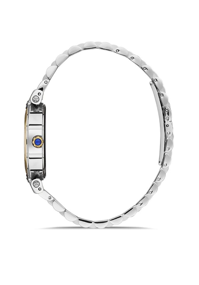 Momentus Cs381T-02Sg