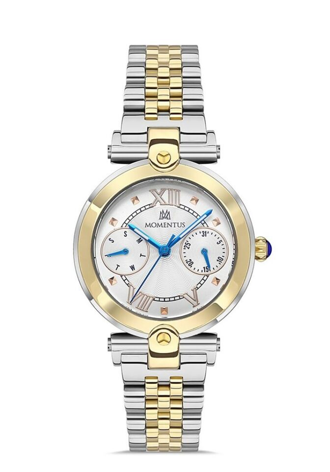 Momentus Cs381T-02Sg