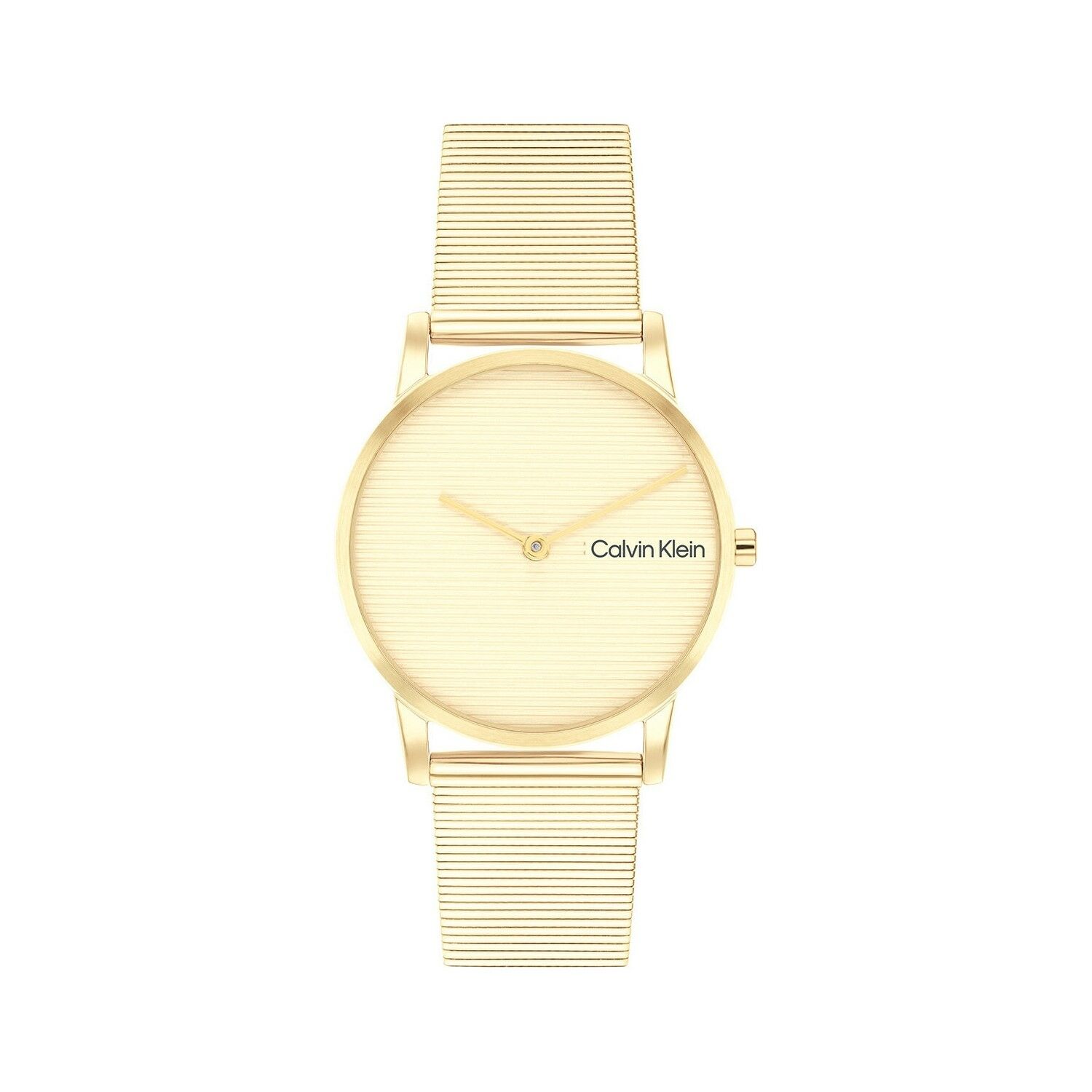 Calvin Klein Ck25100035 Kadın Kol Saati