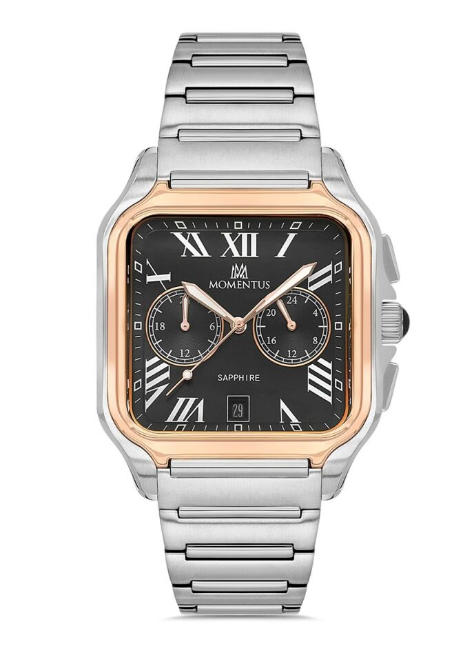 Momentus Men's Time Master TM348S-04SR