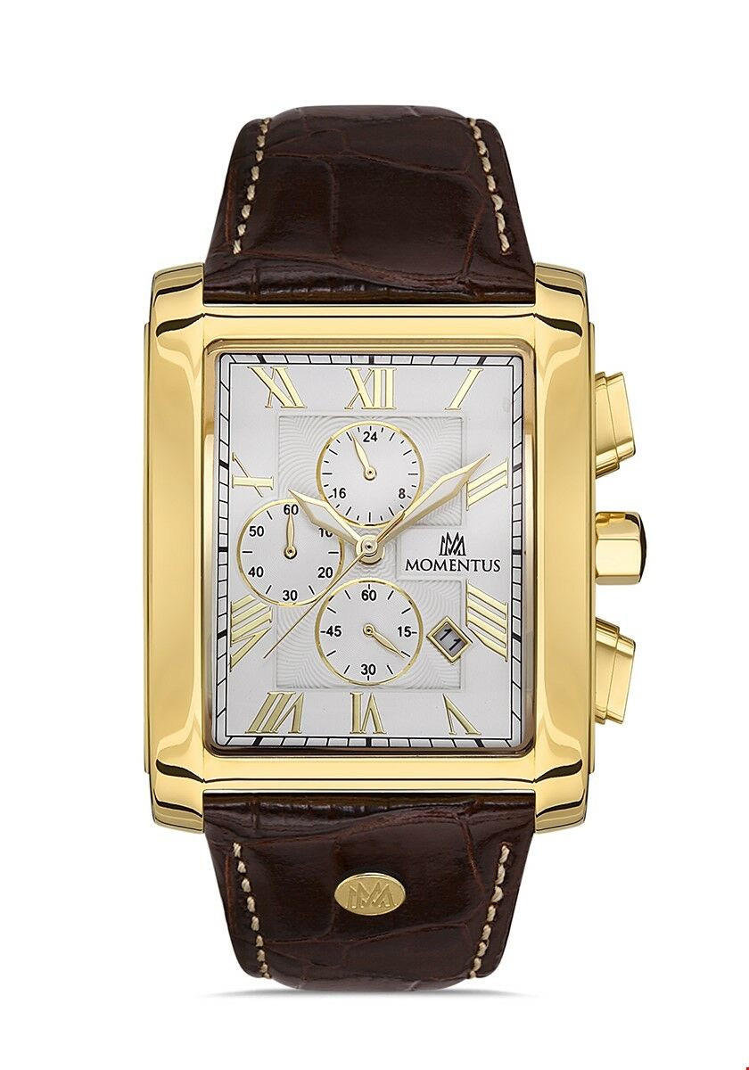 Momentus Men's Time Master TM111G-02KG