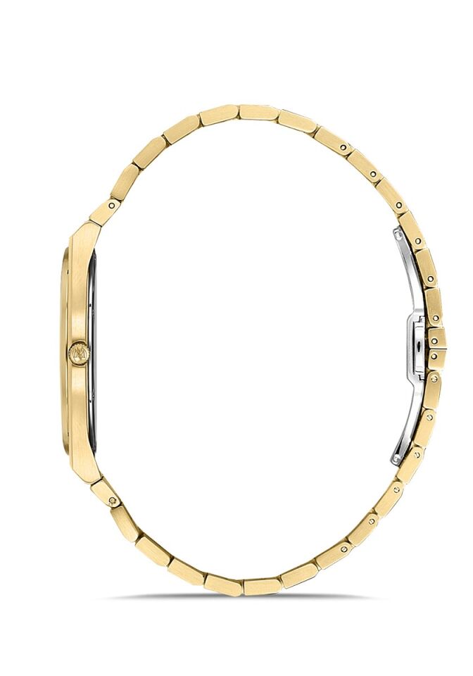 Momentus Men's Crown Master EM345G-18SG