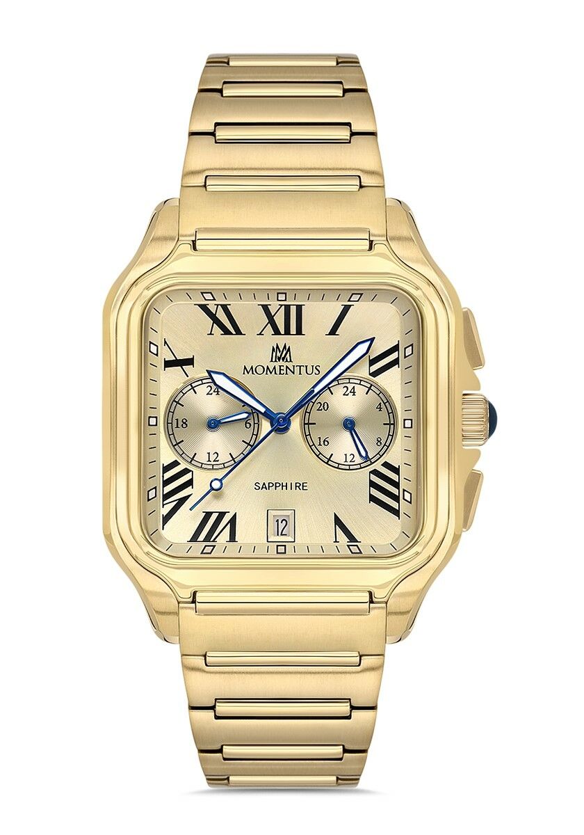 Momentus Men's Time Master TM348G-08SG