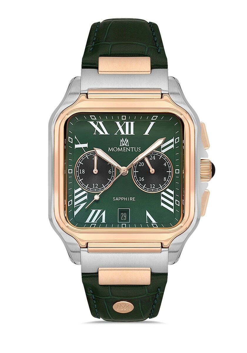 Momentus Men's Time Master TM348T-15YR