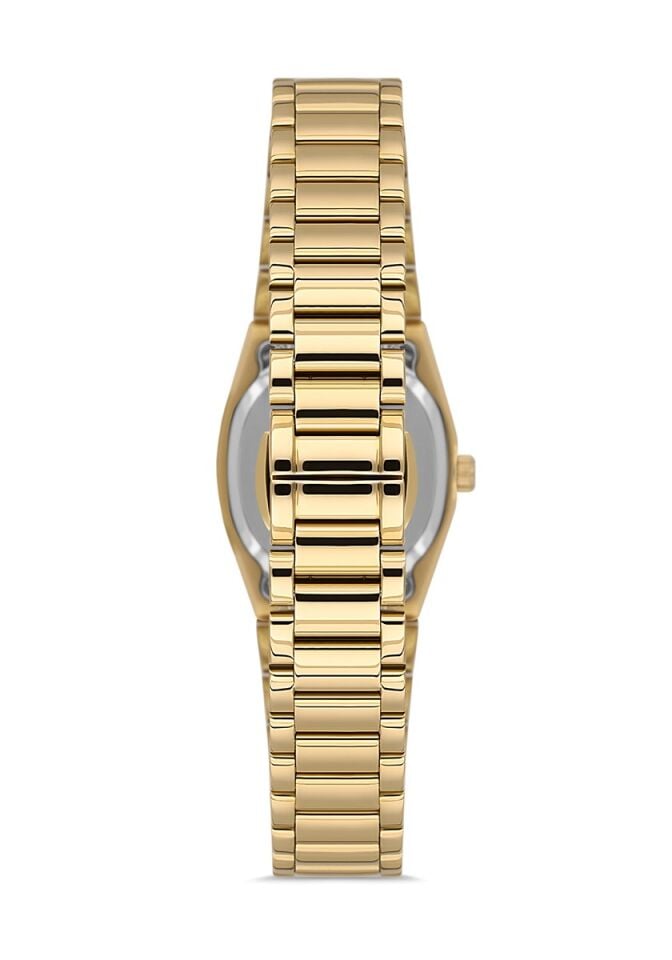 Momentus CS262G-08SG