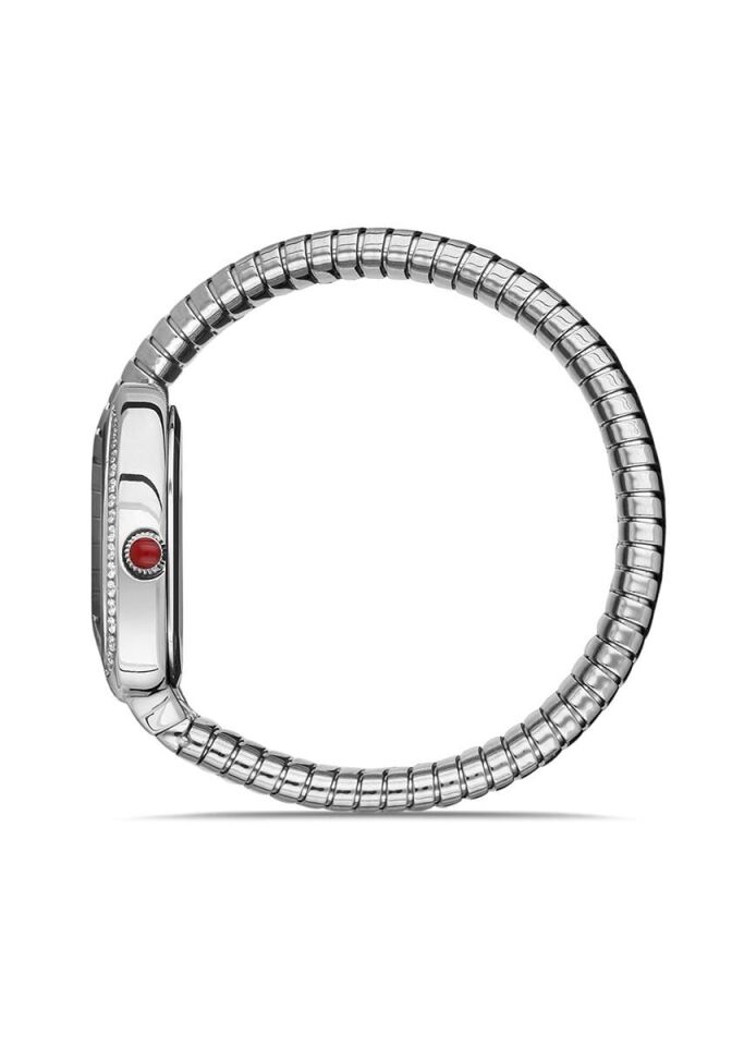 Momentus Ss256S-02Ss Kadın Kol Saati