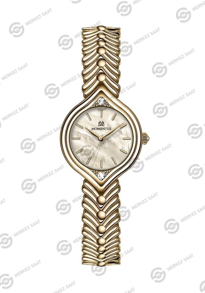 Momentus Women's Shiny Star SS416G-08SG