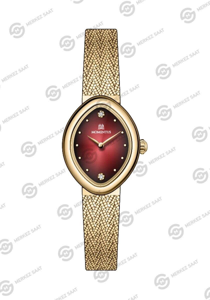Momentus Women's Classy SW278G-14SG