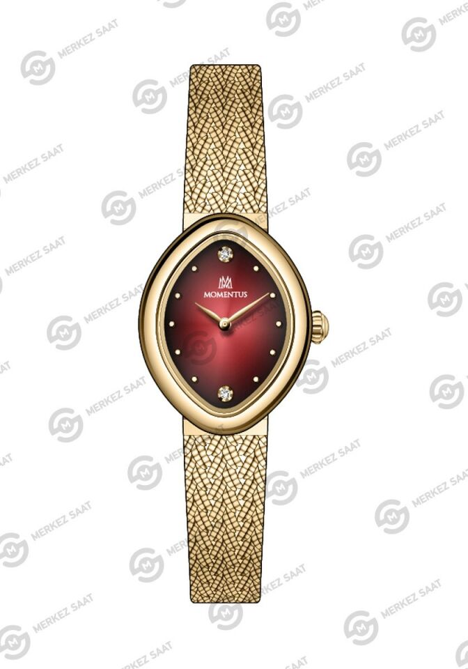 Momentus Women's Classy SW278G-14SG