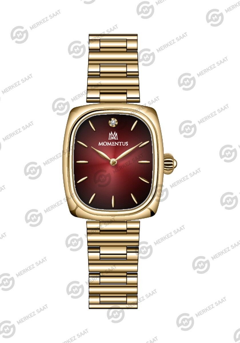 Momentus Women's Classy CW317G-14SG