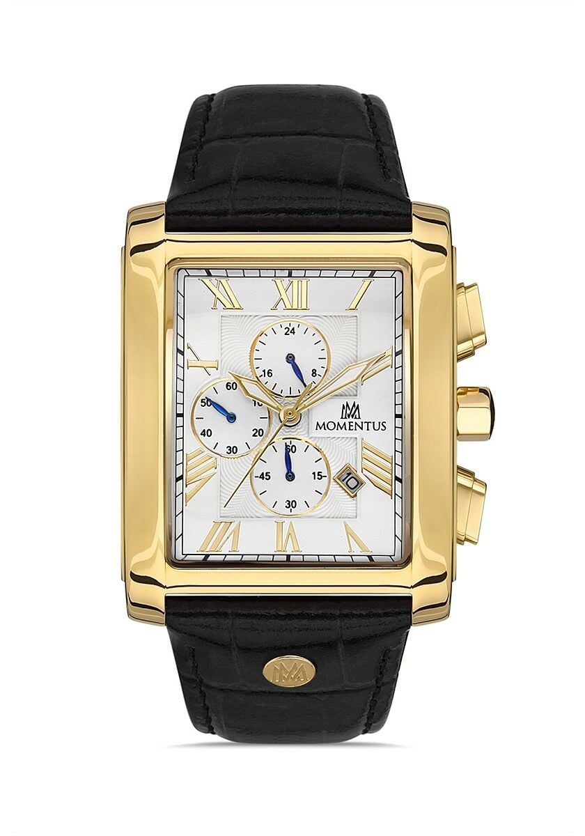 Momentus Men's Time Master TM111G-02BG