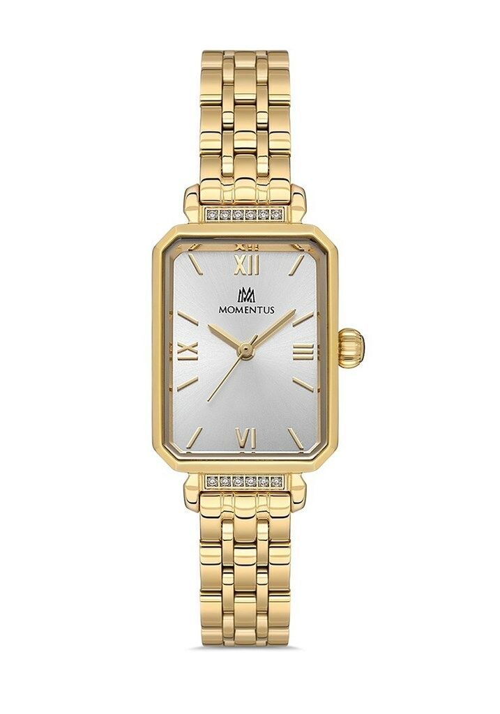 Momentus Ss223G-02Sg