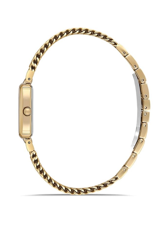 Momentus Women's Shiny SS397G-14SG